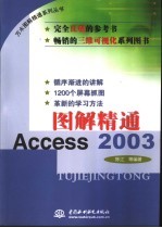 图解精通Access 2003