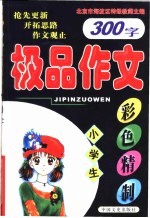 小学生极品作文 300字