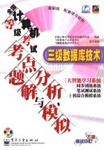 全国计算机等级考试考点分析、题解与模拟 三级数据库技术