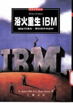 浴火重生IBM IBM的过去、现在与未来剖析