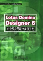 Lotus Domino Designer 6企业级应用程序高级开发