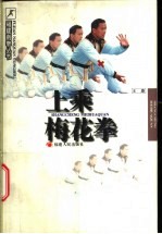 上乘梅花拳