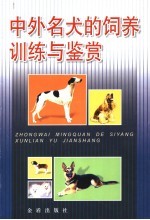 中外名犬的饲养训练与鉴赏