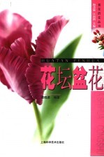 花坛盆花