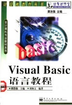 Visual Basic语言教程