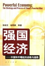 强国经济-中国和平崛起的战略与道路 中国和平崛起的战略与道路 the strategy and process of China's peaceful rise