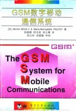 GSM数字移动通信系统