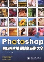 Photoshop数码照片处理精彩范例大全