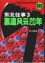 东北往事  3  一部由亲历者向您讲述的黑道故事