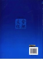 合肥文化产业发展蓝皮书 2008