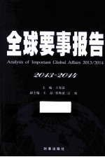 全球要事报告  2013-2014