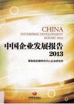 中国企业发展报告 2013