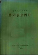 吉林省白城地区林木病虫图册