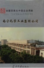 中国国情丛书 全国百家大中型企业调查 南宁化学工业集团公司