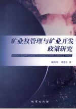 矿业权管理与矿业开发政策研究