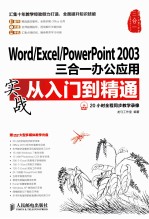 Word/Excel/PowerPoint 2003三合一办公应用实战从入门到精通