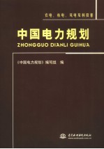 中国电力规划 农电、核电、风电及科技卷