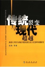 传统裂变与现代超越 西部大开发与西南少数民族生活方式变革问题研究