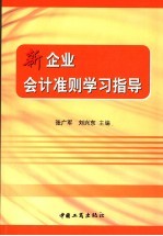 新企业会计准则学习指导