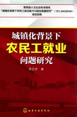 城镇化背景下农民工就业问题研究