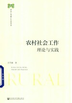 农村社会工作  理论与实践