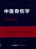 中医骨伤学  高级教程