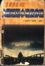 1996年全国短篇小说佳作选