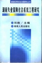 湖南失业保障社会系统工程研究