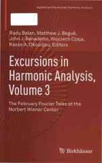 Excursions in harmonic analysis