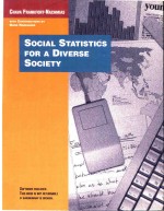 Social Statistics For A Diverse Society