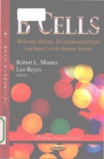 B cells molecular biology