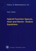 Hybrid function spaces