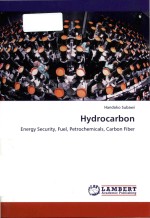 Hydrocarbon: energy security