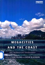 Megacities and the Coast Risk