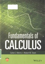 Fundamentals of calculus