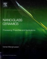 NANO-GLASS CERAMICS PROCESSING