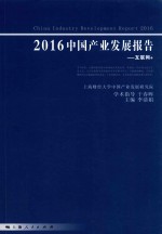 2016中国产业发展报告 互联网+