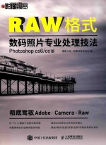 RAW格式数码照片专业处理技法 Photoshop CS6/CC版