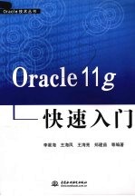 Oracle 11g 快速入门