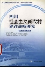 四川社会主义新农村建设战略研究