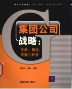 集团公司战略 分析、制定、实施与评价