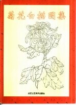 菊花白描图集