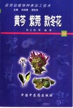 药用动植物种养加工技术 54 黄芩 紫菀 款冬花