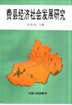 费县经济社会发展研究