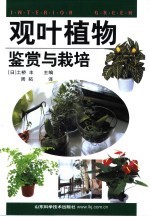 观叶植物鉴赏与栽培