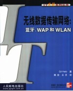 无线数据传输网络 蓝牙、WAP和WLAN