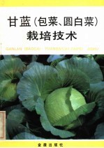 甘蓝 包菜、圆白菜 栽培技术