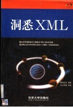 洞悉XML