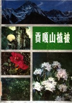 贡嘎山植被