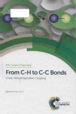 From C-H to C-C bonds: cross-dehydrogenative-coupling